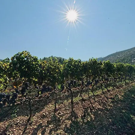 0-bedroom In * Postira